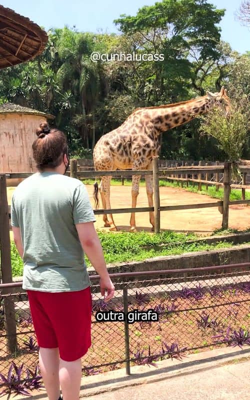 Social content