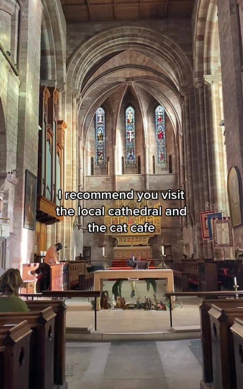 Social content