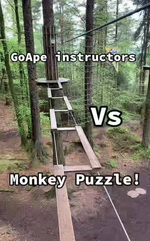 Social content