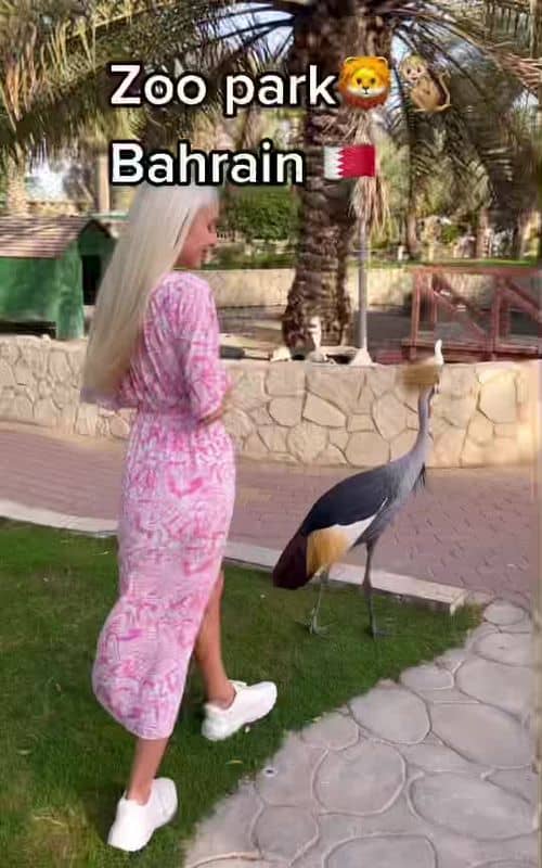Social content