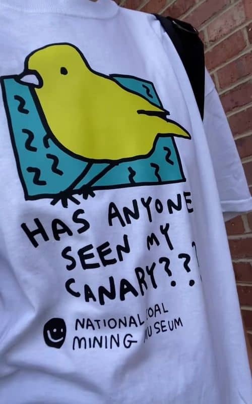 Social content