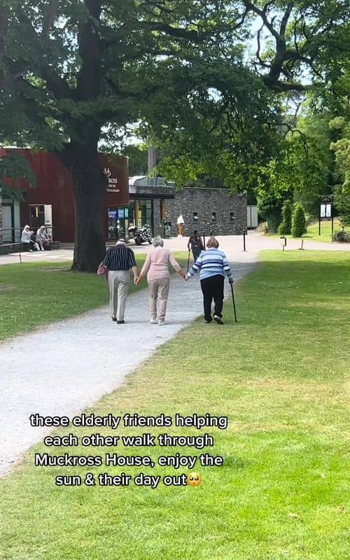 Social content
