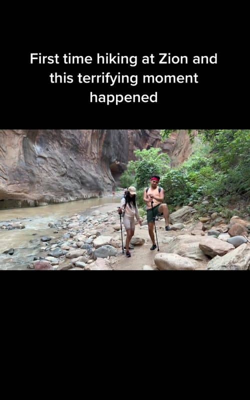 Social content