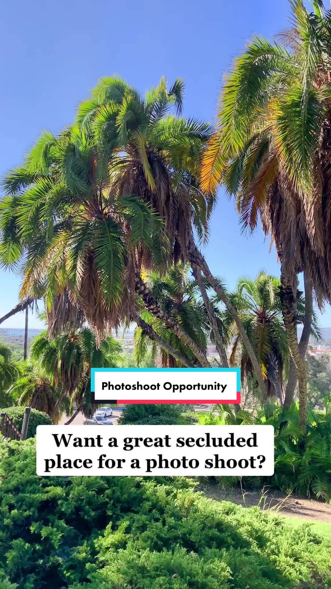 Social content