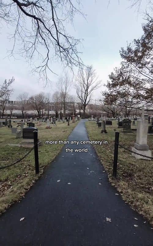 Social content