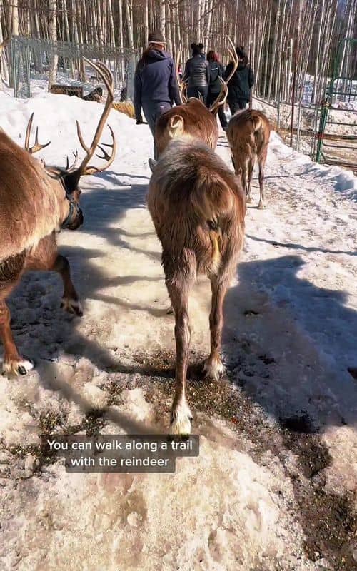 Social content