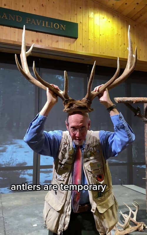 Social content