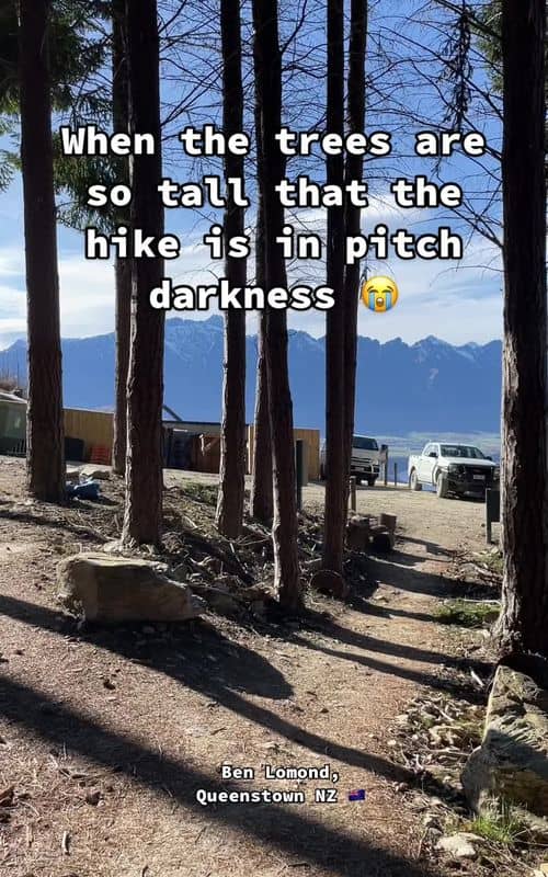 Social content