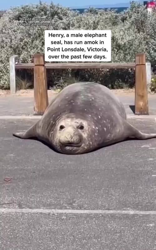 Social content