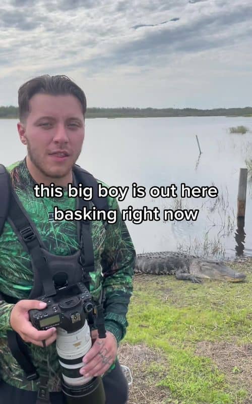 Social content