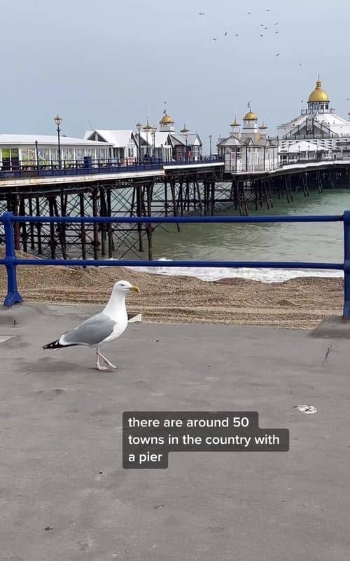 Social content