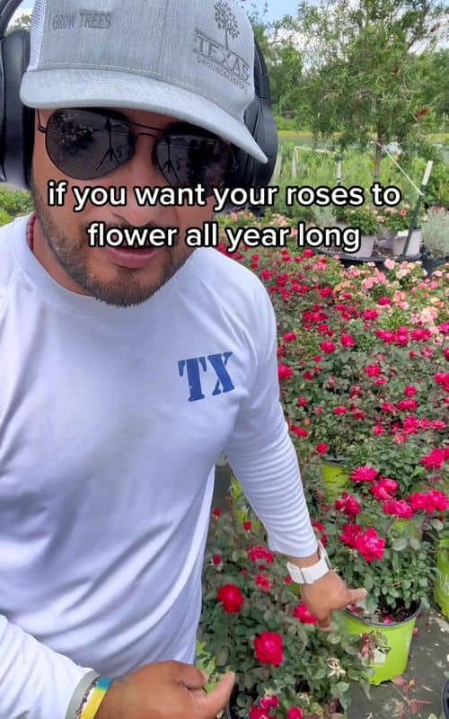 Social content