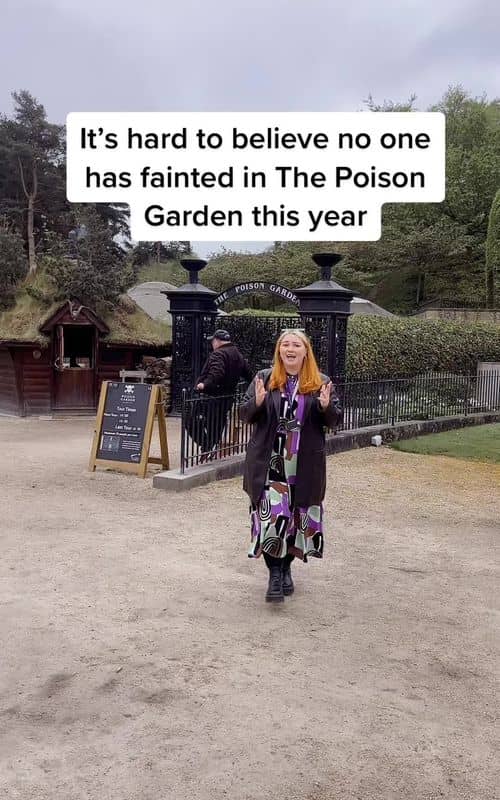 Social content