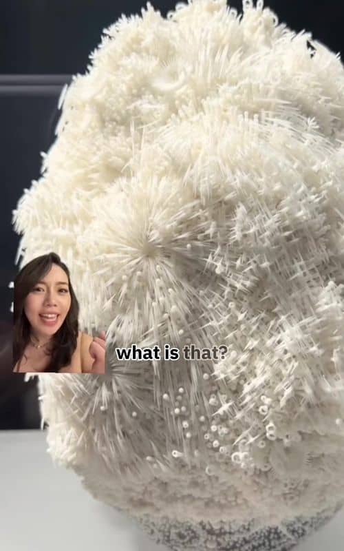 Social content