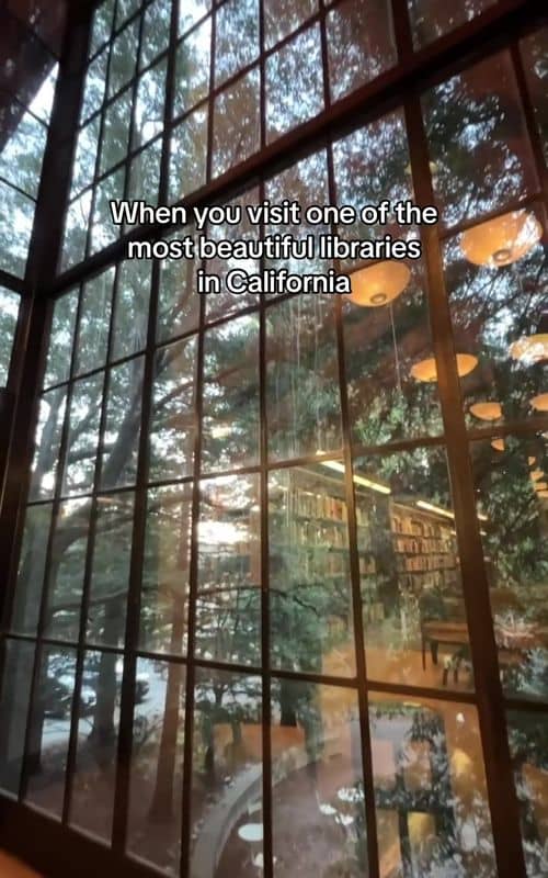 Social content