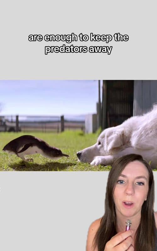 Social content