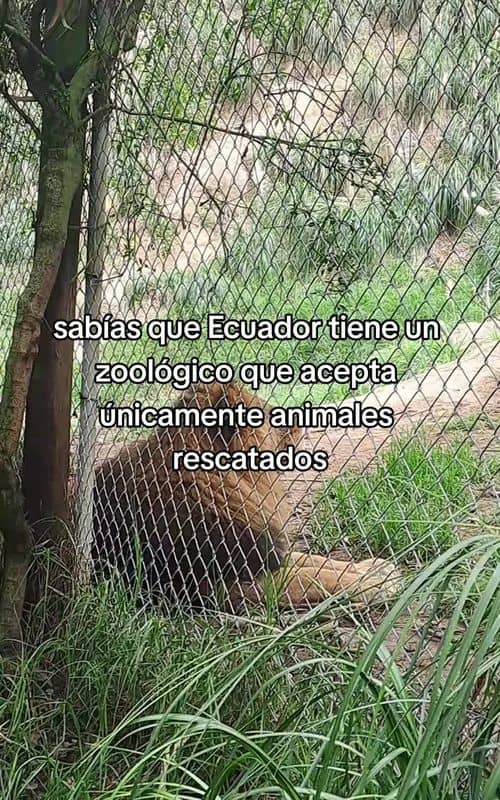 Social content