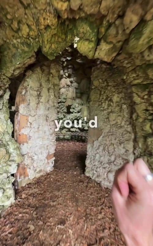 Social content