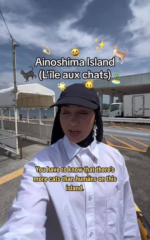 Social content