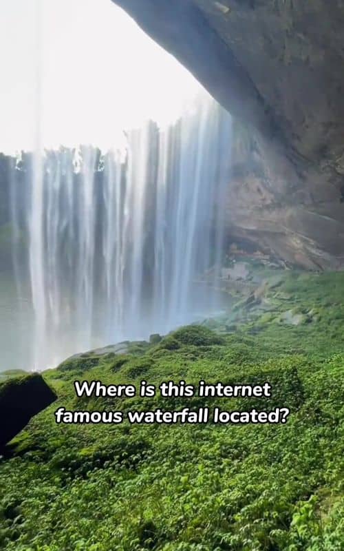 Social content