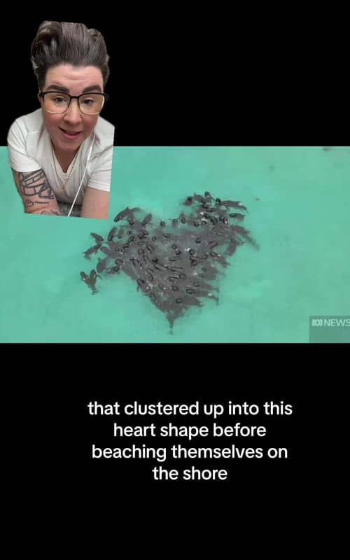 Social content