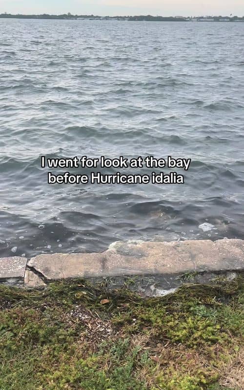 Social content