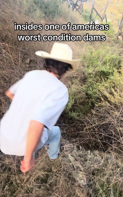 Social content