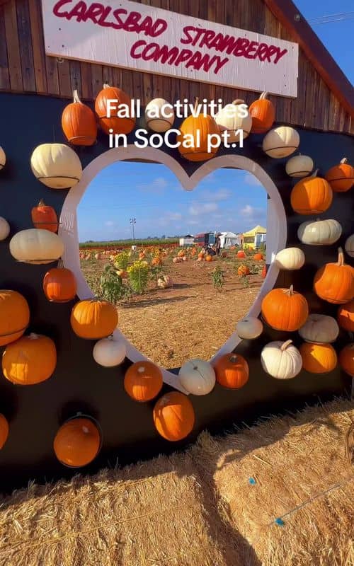 Social content