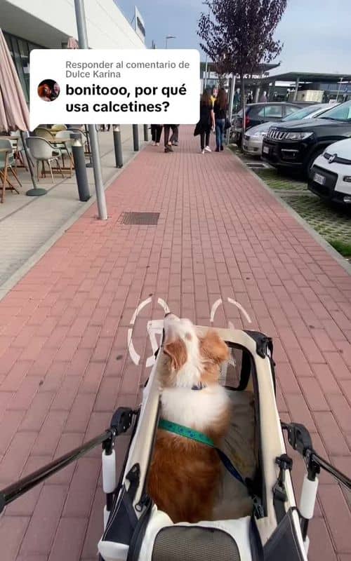 Social content