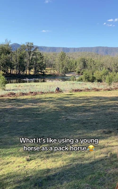 Social content