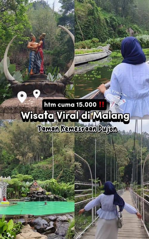 Social content