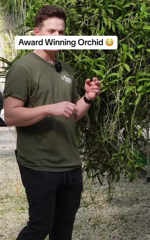 Social content