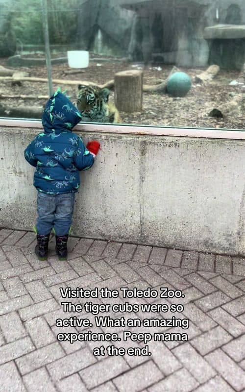 Social content