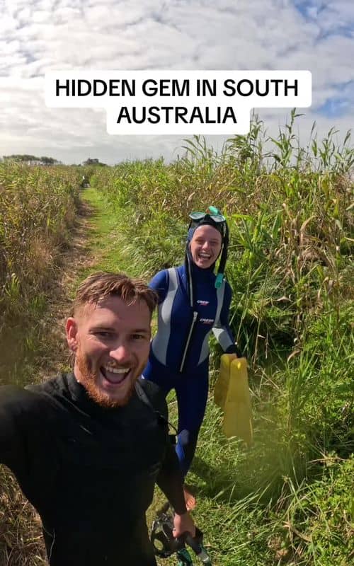 Social content