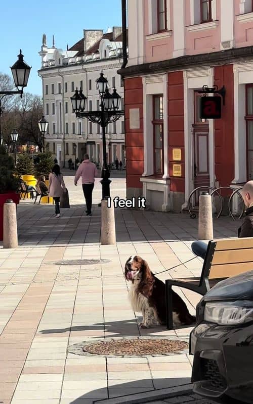 Social content