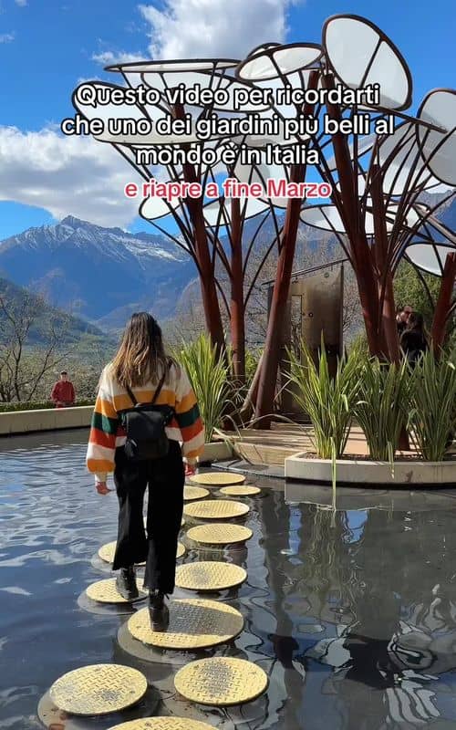 Social content