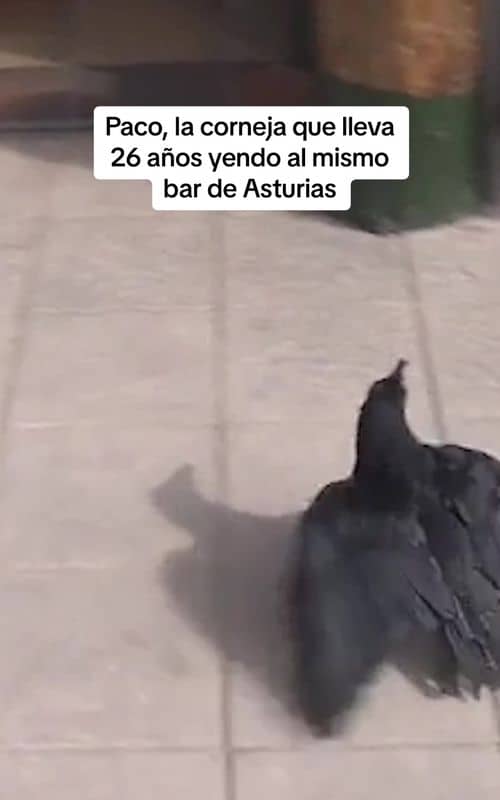 Social content
