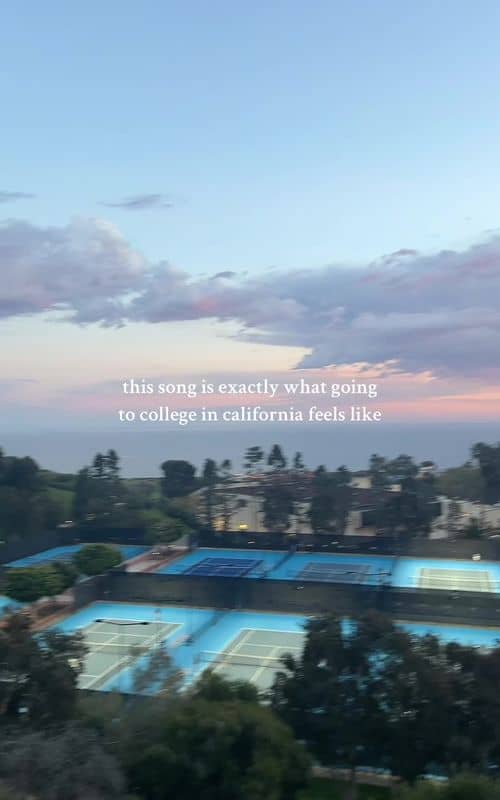 Social content