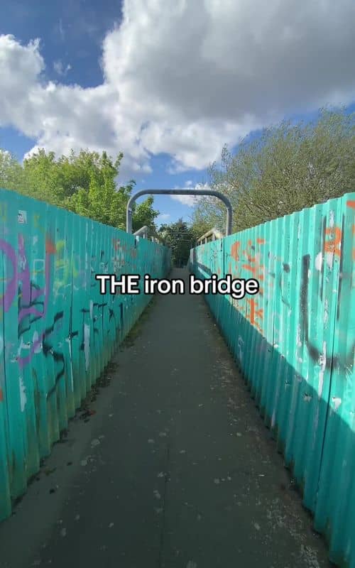 Social content