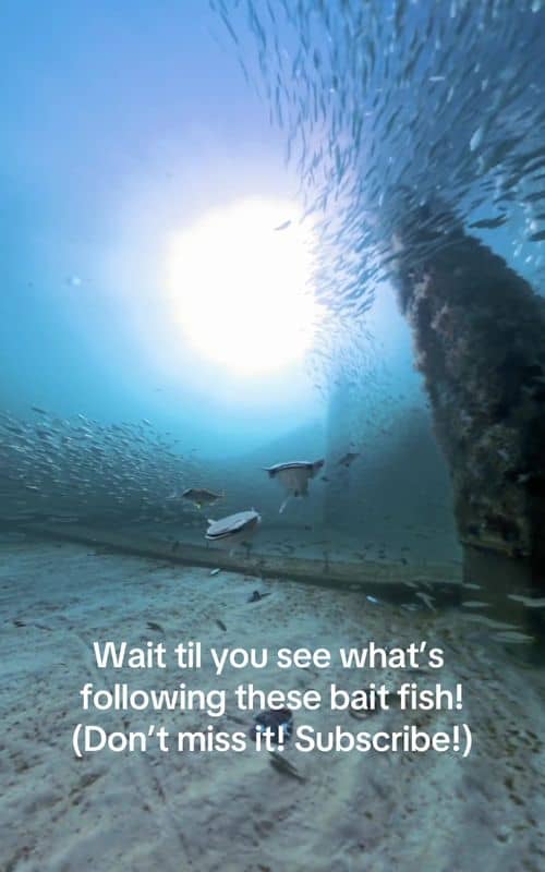 Social content