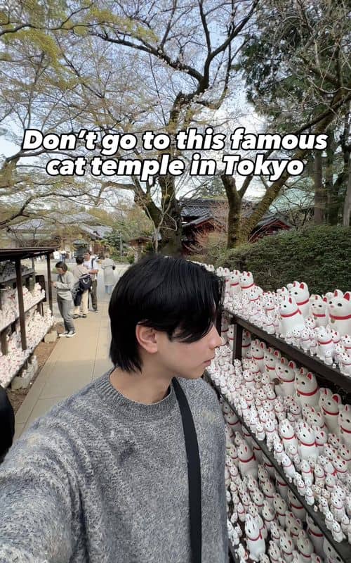 Social content