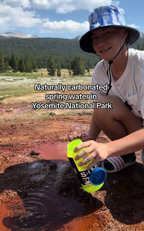 Social content