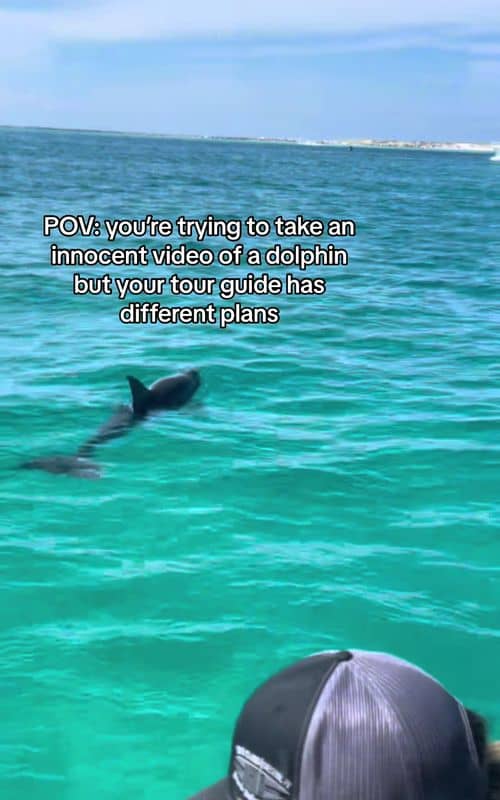 Social content