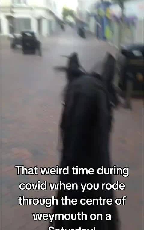 Social content