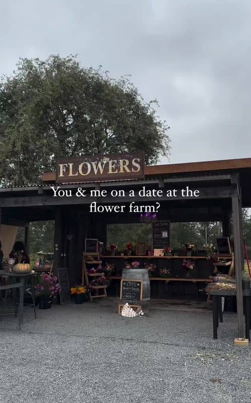 Social content