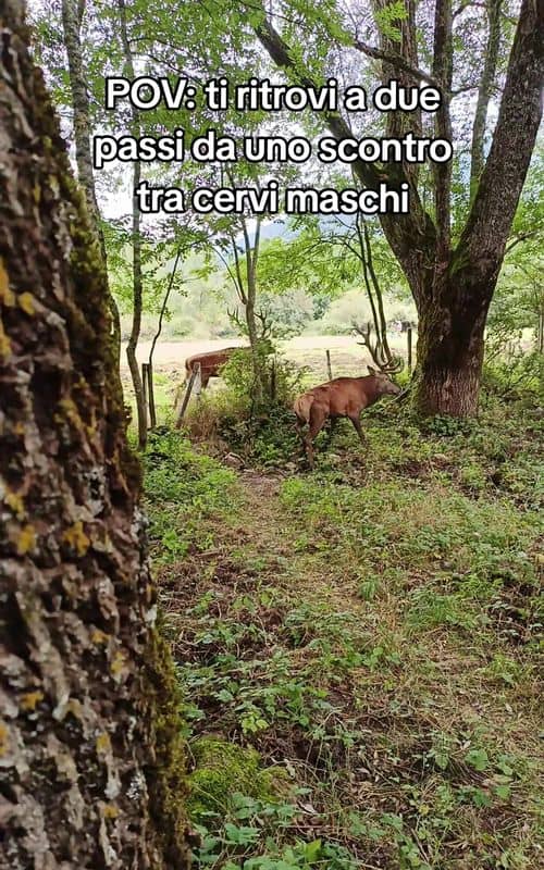 Social content