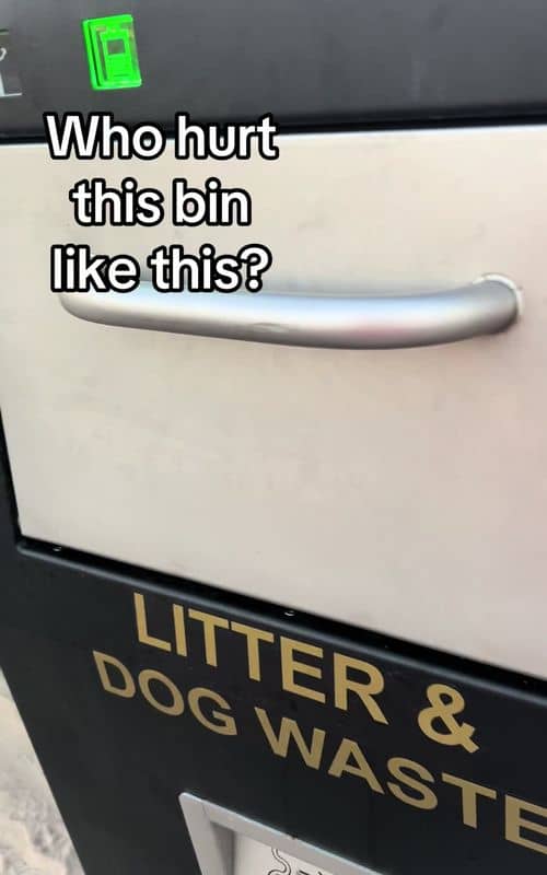Social content