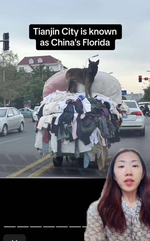Social content
