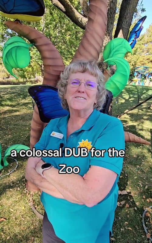 Social content