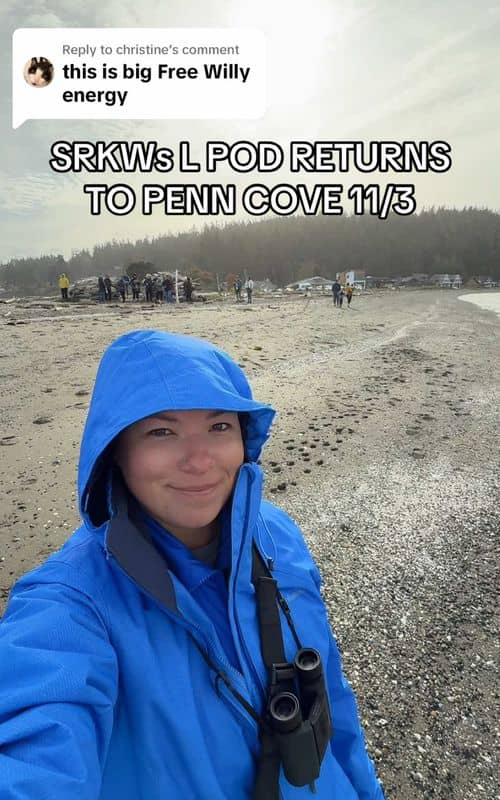 Social content